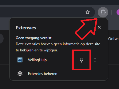 Het Chrome-menu Extensies met VeilingHulp en het pinnetje
